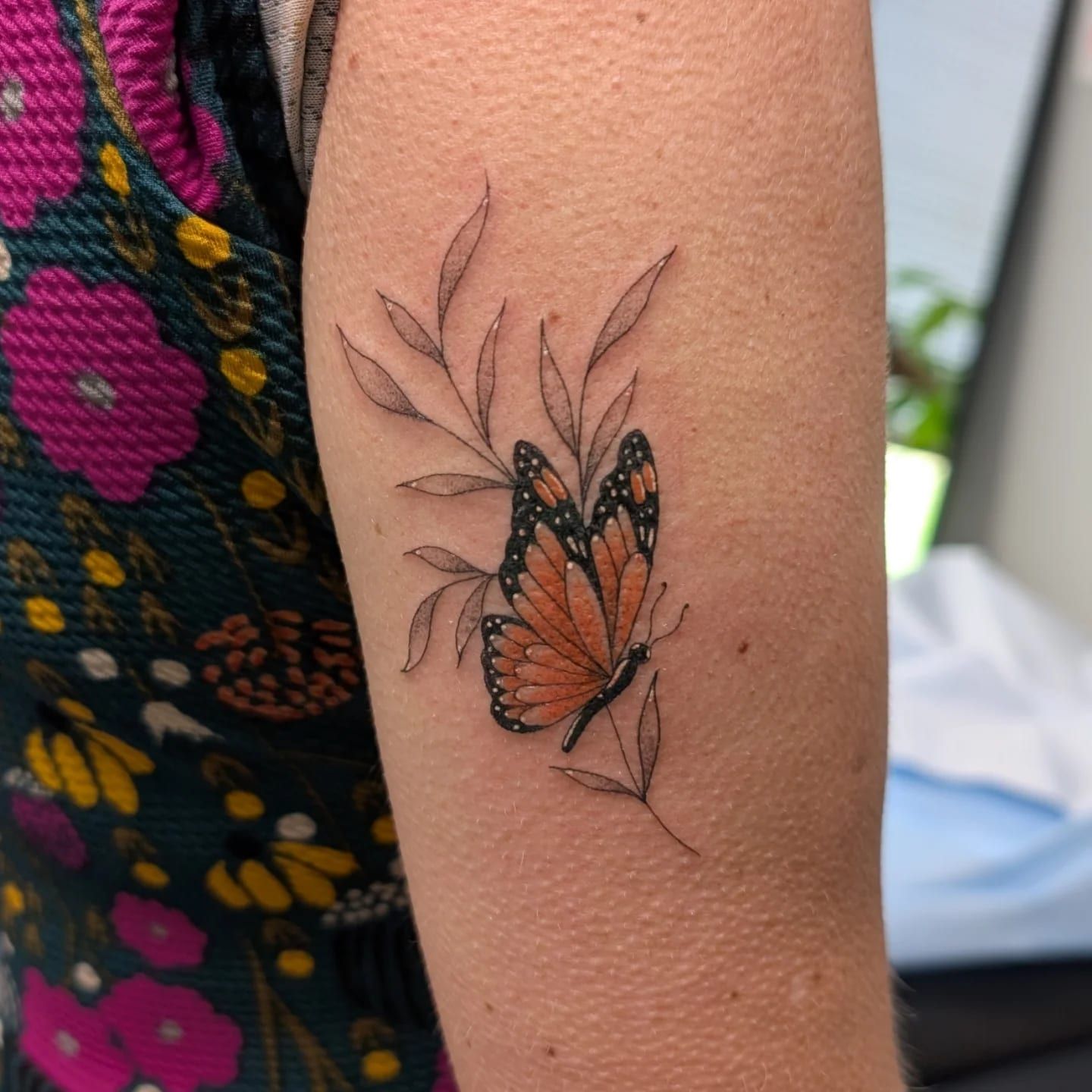Monarch, fine line